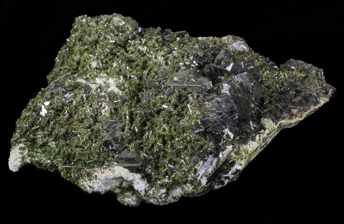 Epidote Crystal Cluster on Actinolite - Pakistan #68244